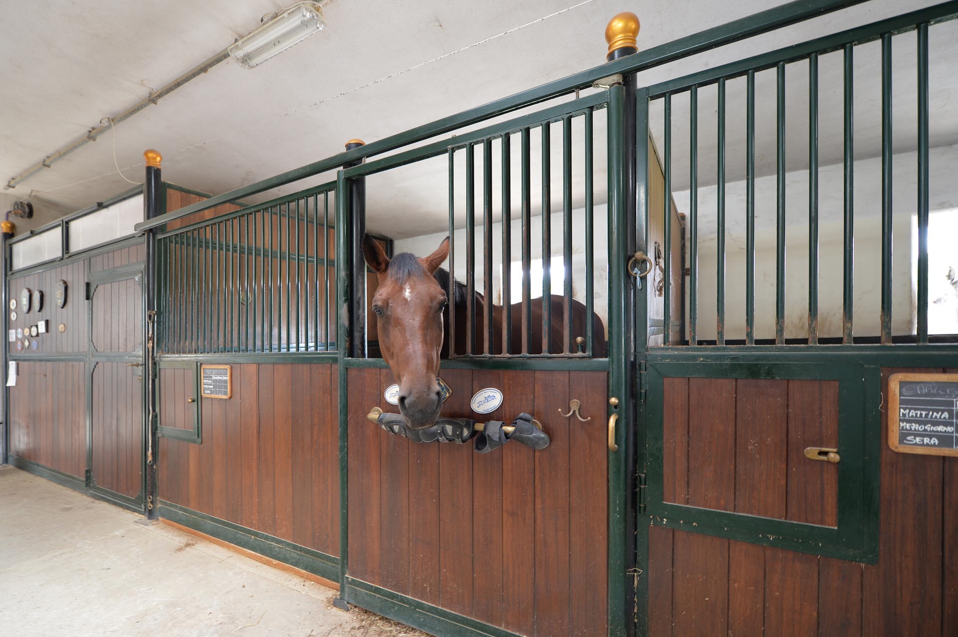 CAVALLI, EQUITAZIONE, POLO: MANEGGI, AGRITURISMI, VILLE & CASALI IN CAMPAGNA CON SCUDERIE